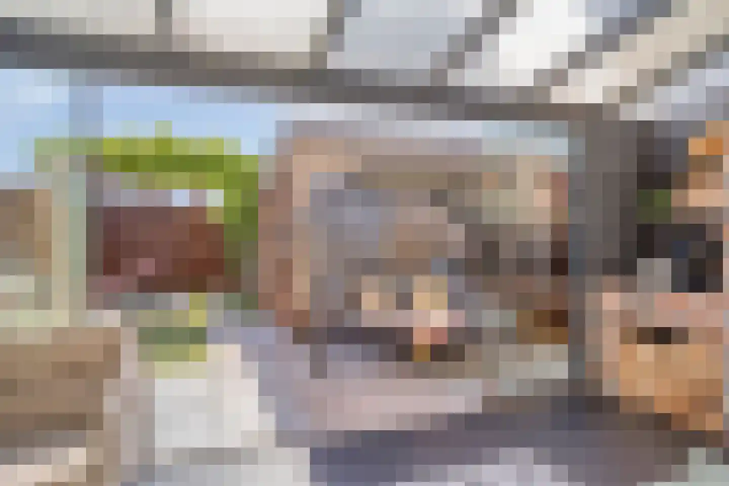 Jelis van Riemsdijklaan 8 Tiel thumbnail 32