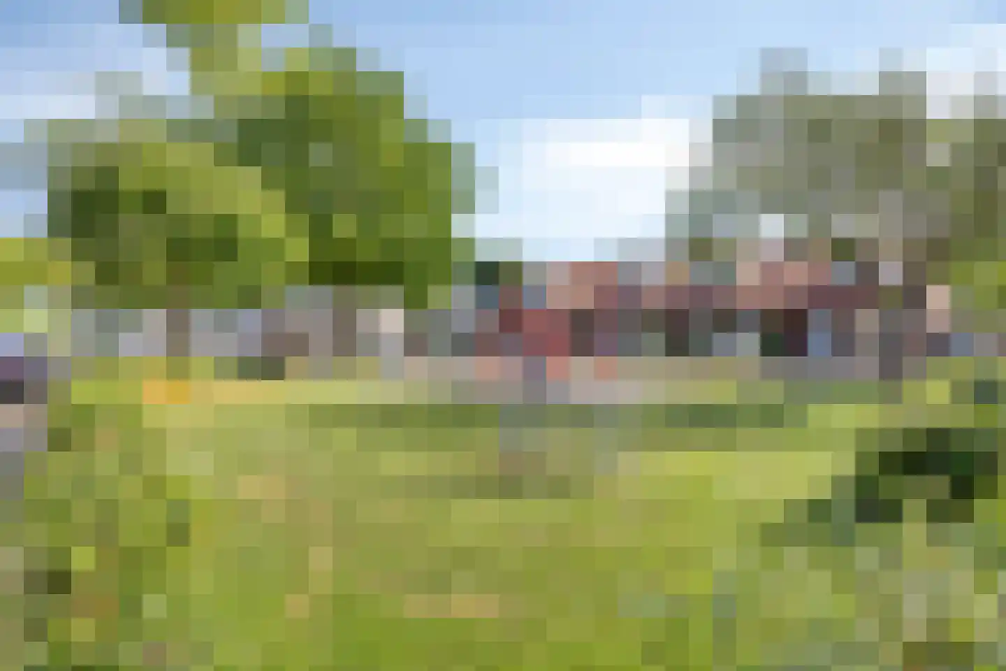 Jelis van Riemsdijklaan 8 Tiel thumbnail 34