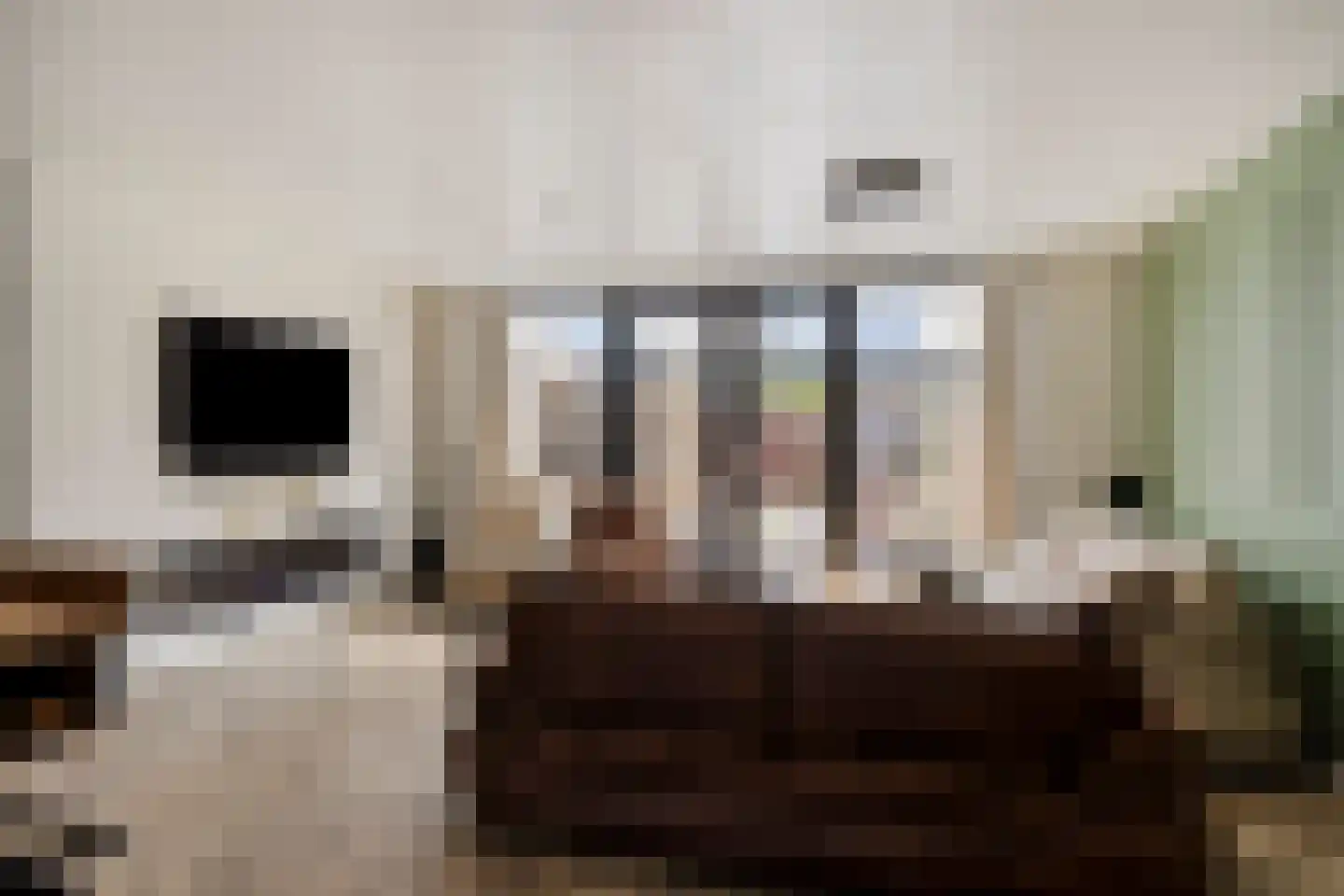 Jelis van Riemsdijklaan 8 Tiel thumbnail 4