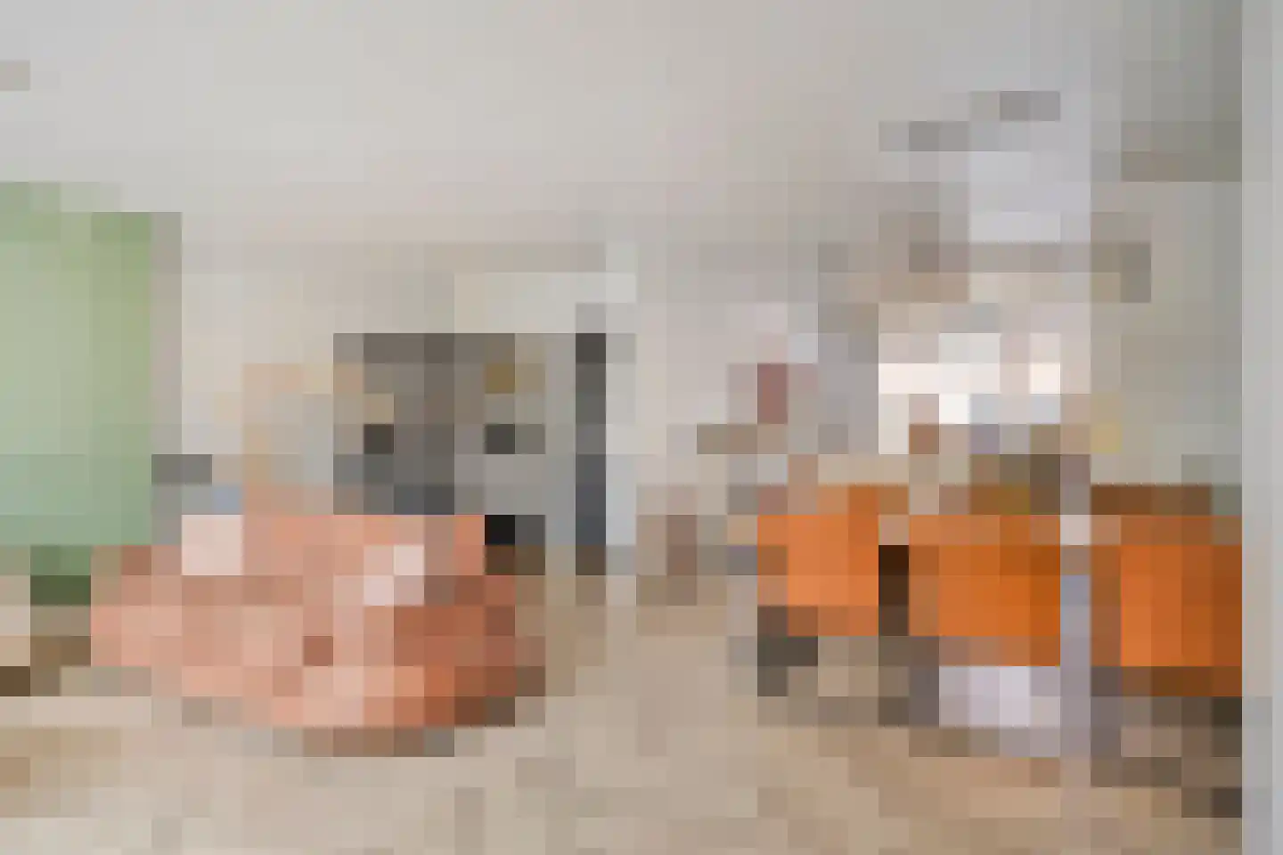 Jelis van Riemsdijklaan 8 Tiel thumbnail 5