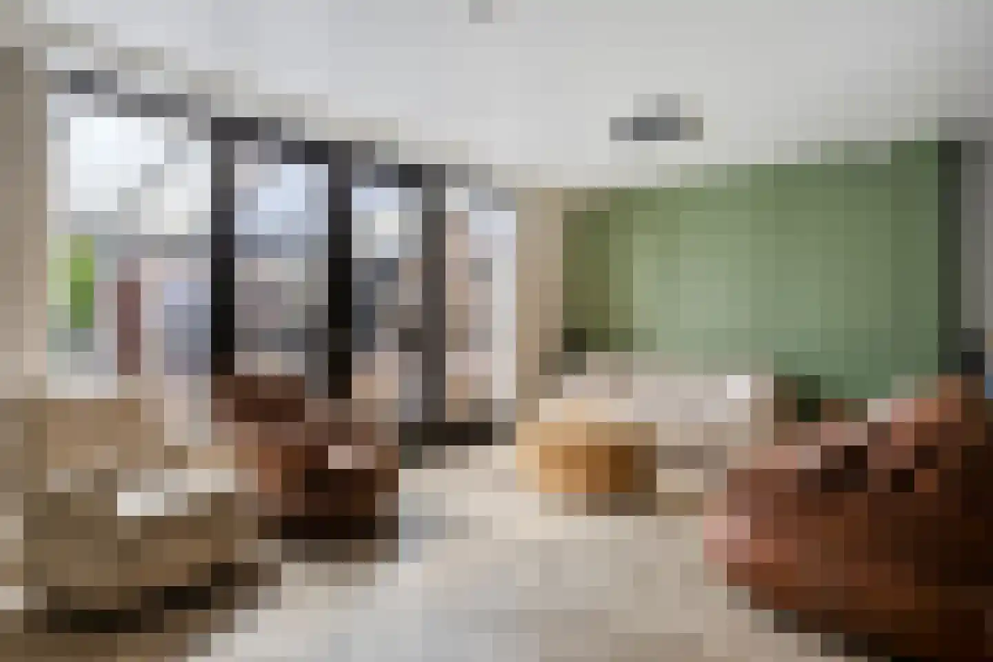 Jelis van Riemsdijklaan 8 Tiel thumbnail 6