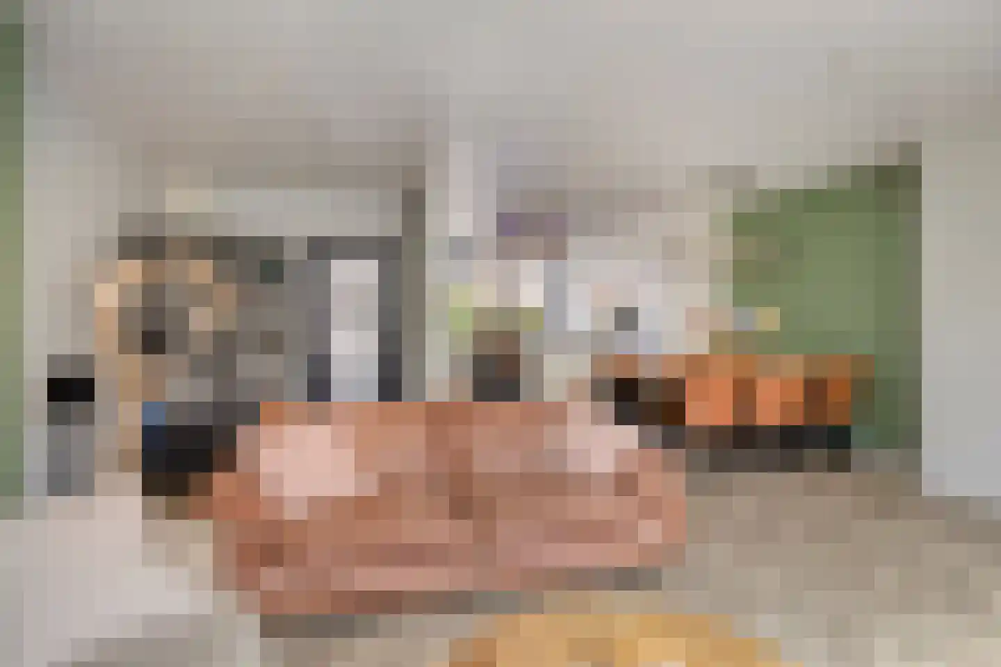 Jelis van Riemsdijklaan 8 Tiel thumbnail 7