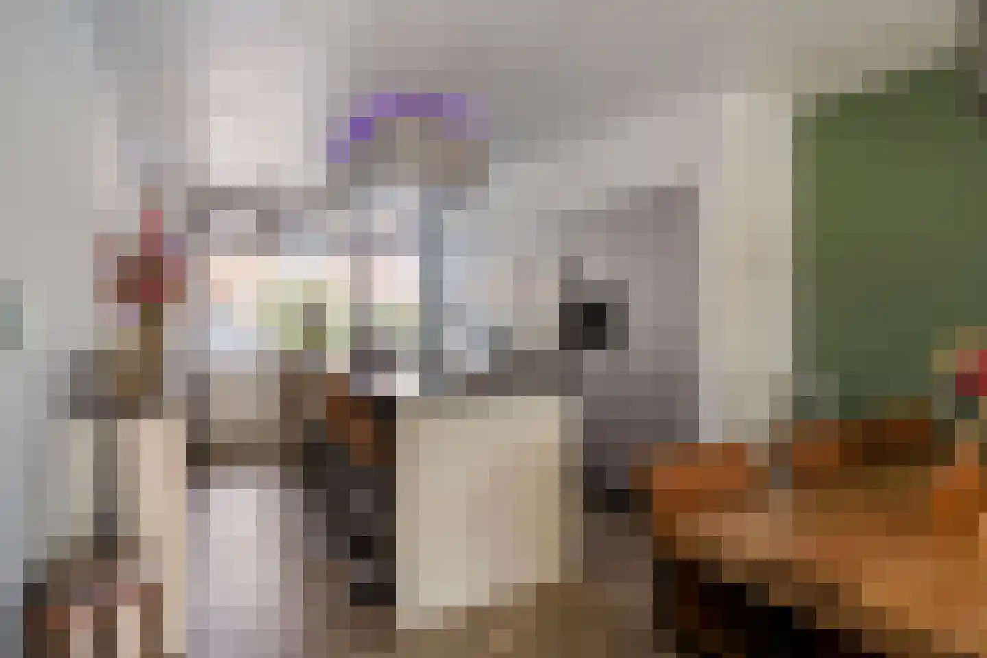 Jelis van Riemsdijklaan 8 Tiel thumbnail 9