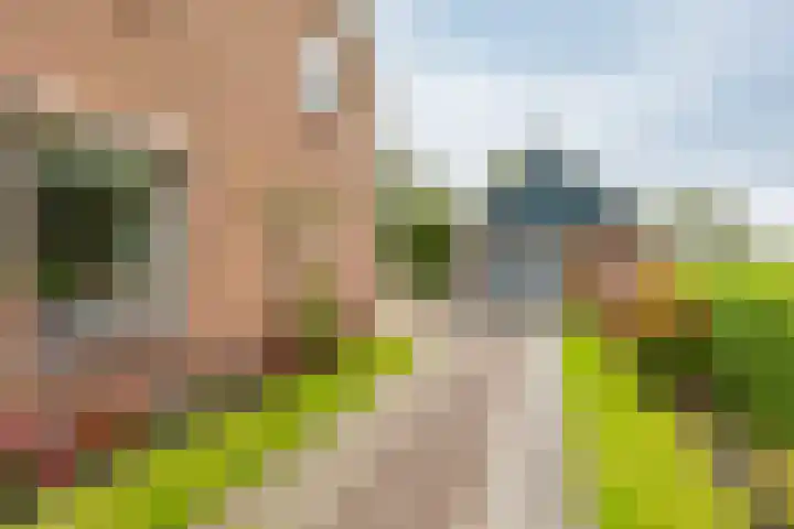 Jelle Beenenwei 19 Jonkerslân thumbnail 10