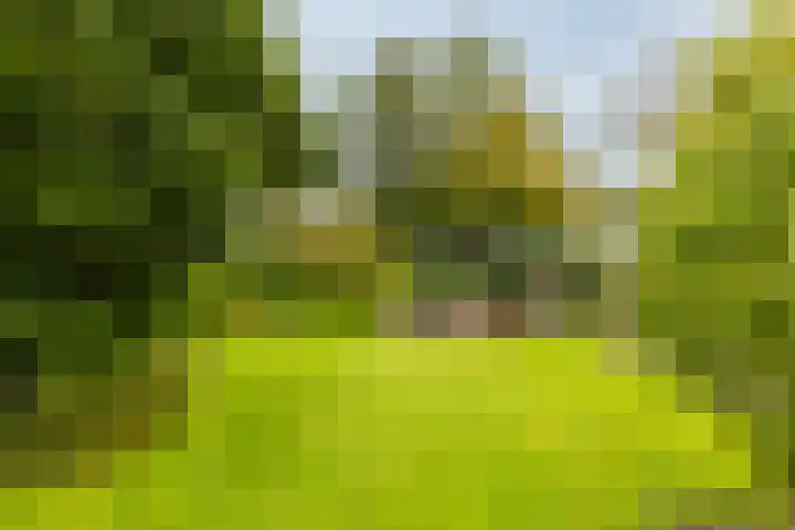 Jelle Beenenwei 19 Jonkerslân thumbnail 12