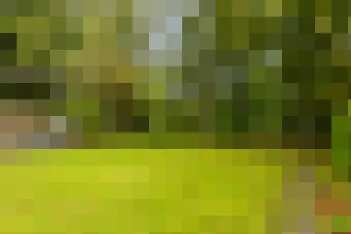 Jelle Beenenwei 19 Jonkerslân thumbnail 13