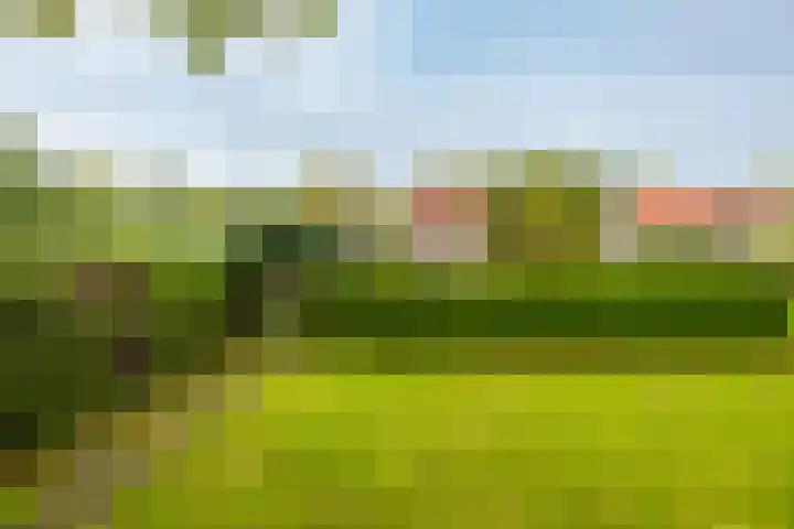 Jelle Beenenwei 19 Jonkerslân thumbnail 14