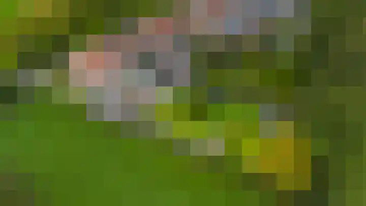 Jelle Beenenwei 19 Jonkerslân thumbnail 17