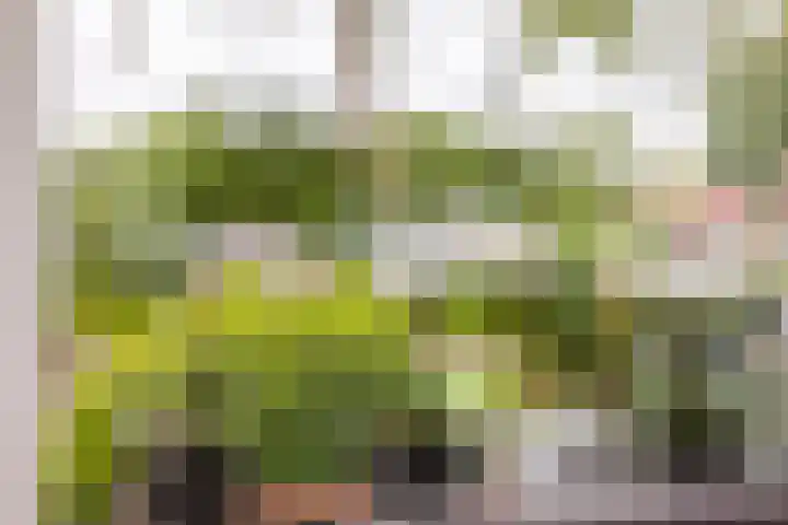 Jelle Beenenwei 19 Jonkerslân thumbnail 21