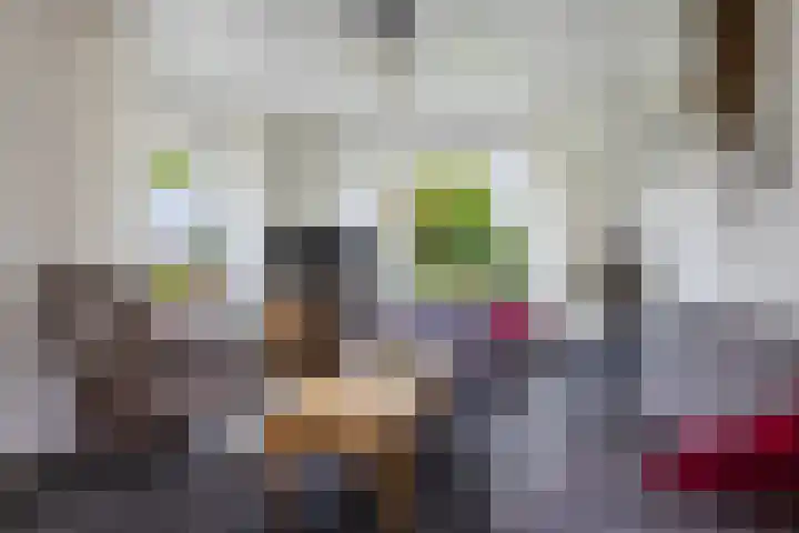 Jelle Beenenwei 19 Jonkerslân thumbnail 22