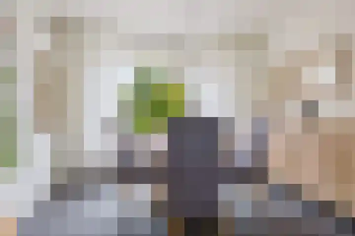 Jelle Beenenwei 19 Jonkerslân thumbnail 25