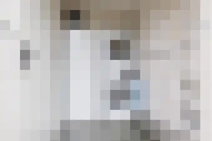 Jelle Beenenwei 19 Jonkerslân thumbnail 29