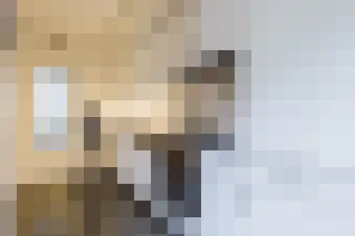 Jelle Beenenwei 19 Jonkerslân thumbnail 4