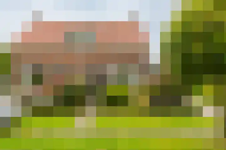 Jelle Beenenwei 19 Jonkerslân thumbnail 8