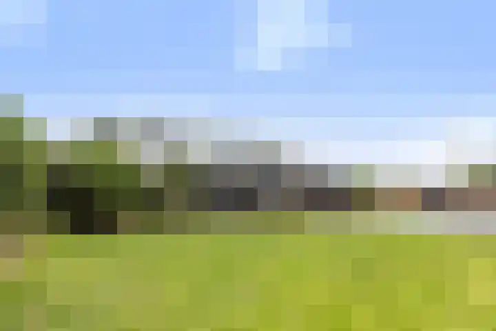 Jelle-paad 12 Terherne thumbnail 12