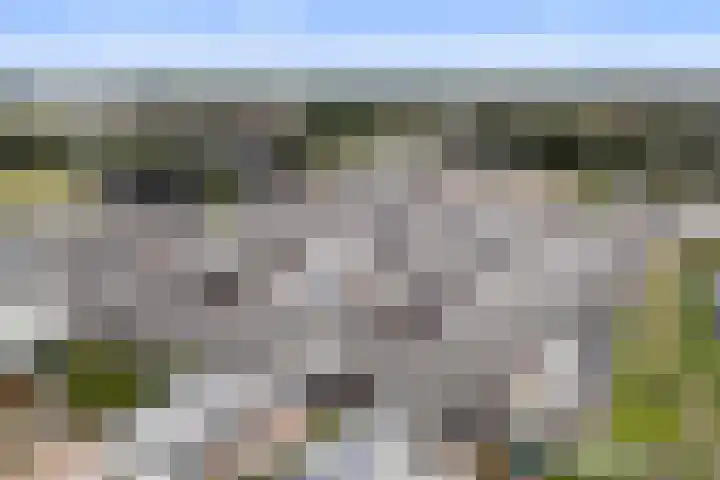 Jelle-paad 12 Terherne thumbnail 15