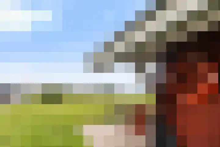 Jelle-paad 12 Terherne thumbnail 18
