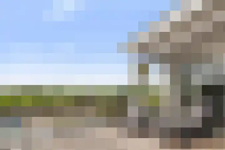 Jelle-paad 12 Terherne thumbnail 20