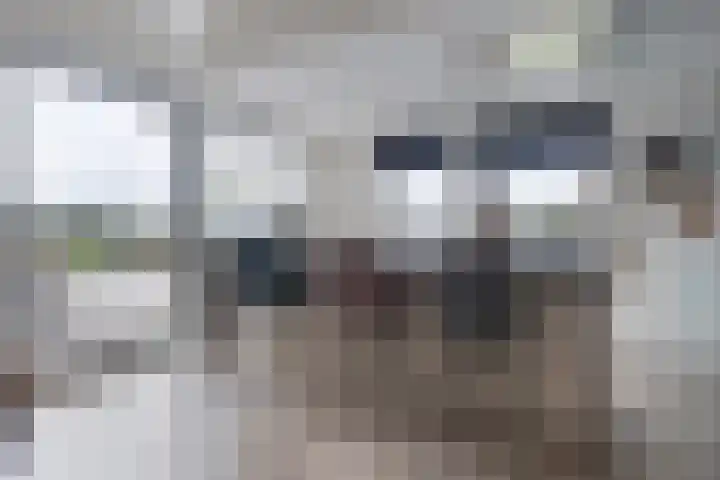 Jelle-paad 12 Terherne thumbnail 32
