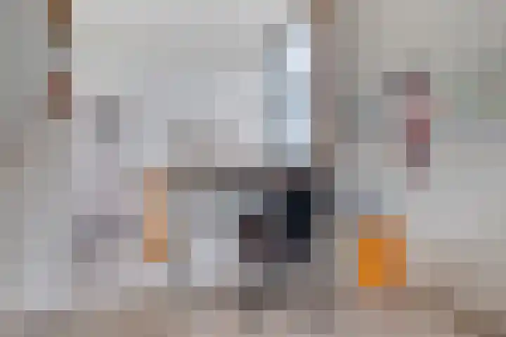 Jelle-paad 12 Terherne thumbnail 38