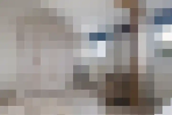 Jelle-paad 12 Terherne thumbnail 42