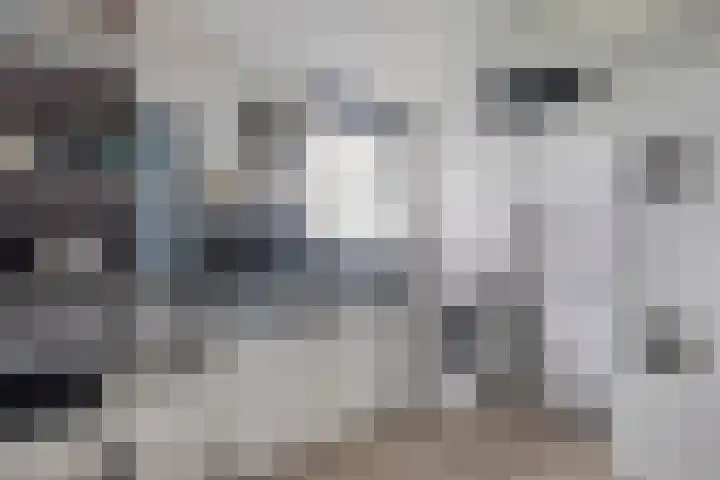 Jelle-paad 12 Terherne thumbnail 43