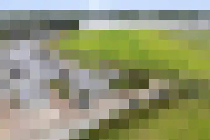 Jelle-paad 12 Terherne thumbnail 6