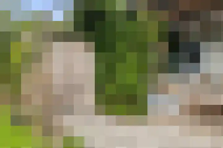 Jelle-paad 12 Terherne thumbnail 63