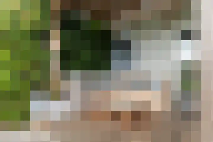 Jelle-paad 12 Terherne thumbnail 64
