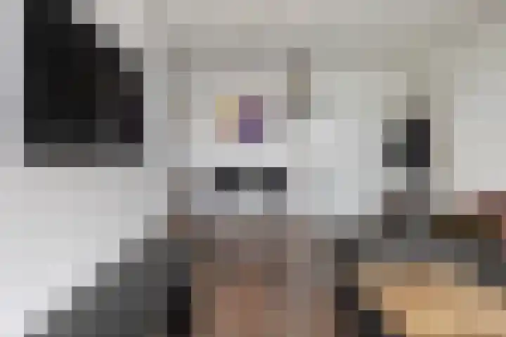 Jelle-paad 12 Terherne thumbnail 66