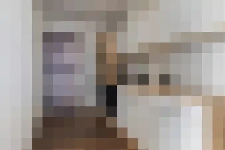 Jelle-paad 12 Terherne thumbnail 67
