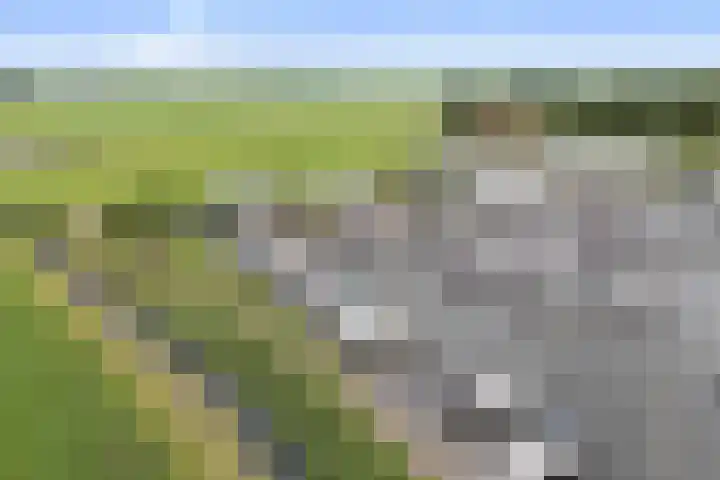 Jelle-paad 12 Terherne thumbnail 7