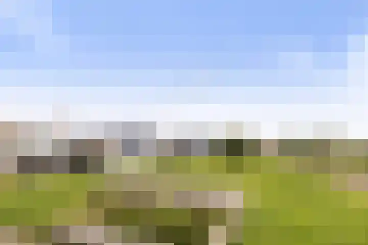 Jelle-paad 12 Terherne thumbnail 72