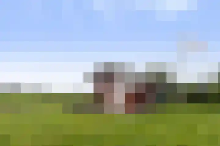 Jelle-paad 12 Terherne thumbnail 73
