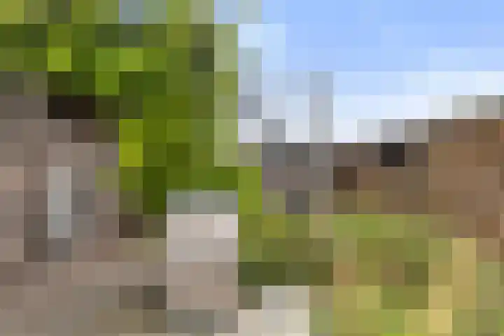 Jelle-paad 12 Terherne thumbnail 79