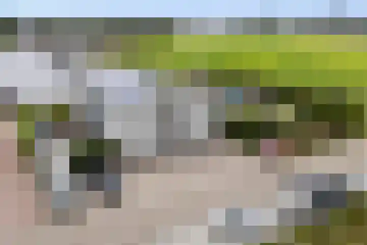 Jelle-paad 12 Terherne thumbnail 8
