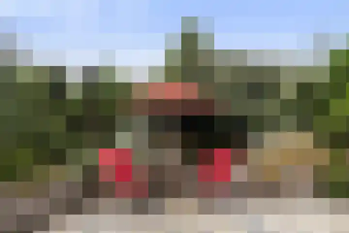 Jelle-paad 12 Terherne thumbnail 80