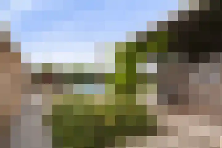 Jelle-paad 12 Terherne thumbnail 81
