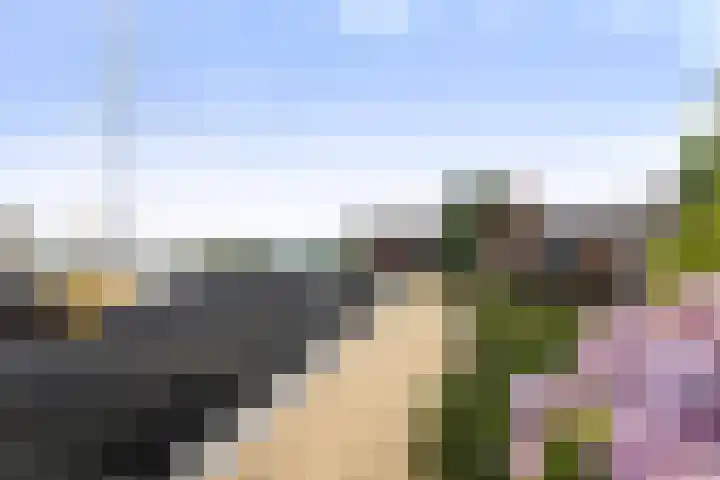 Jelle-paad 12 Terherne thumbnail 82