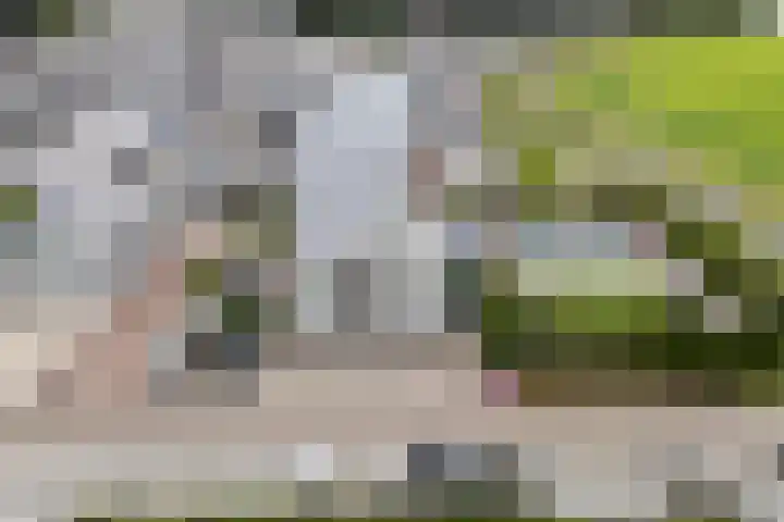 Jelle-paad 12 Terherne thumbnail 88