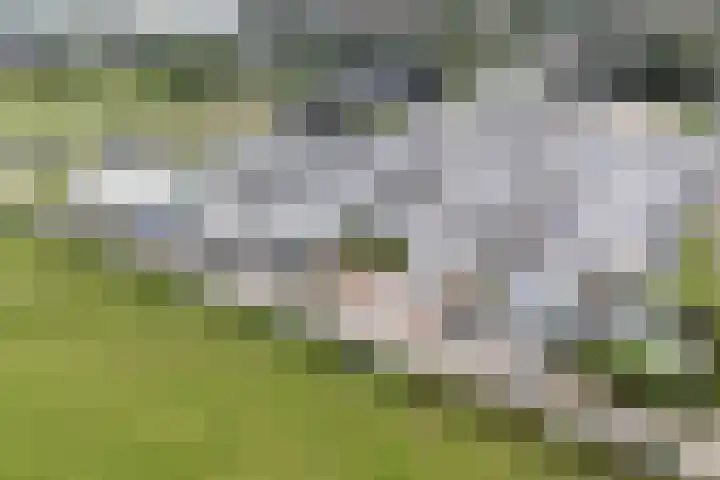 Jelle-paad 12 Terherne thumbnail 89