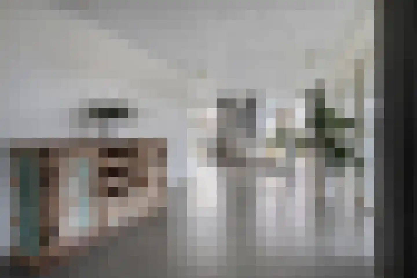 Jelle Plantingstraat 36 Drachten thumbnail 12