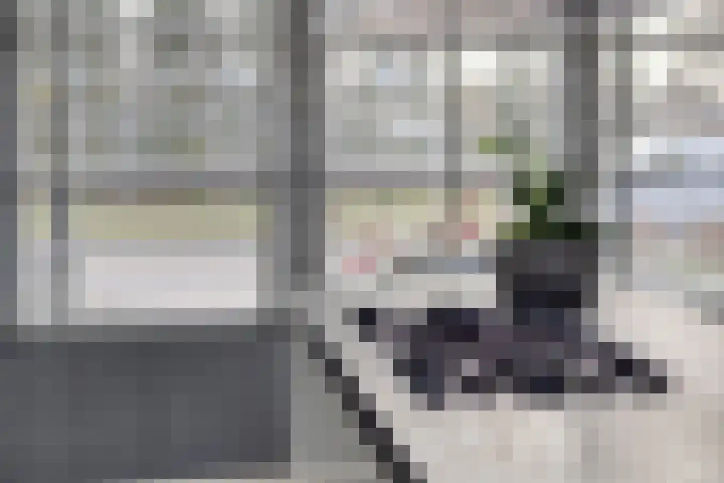 Jelle Plantingstraat 36 Drachten thumbnail 24