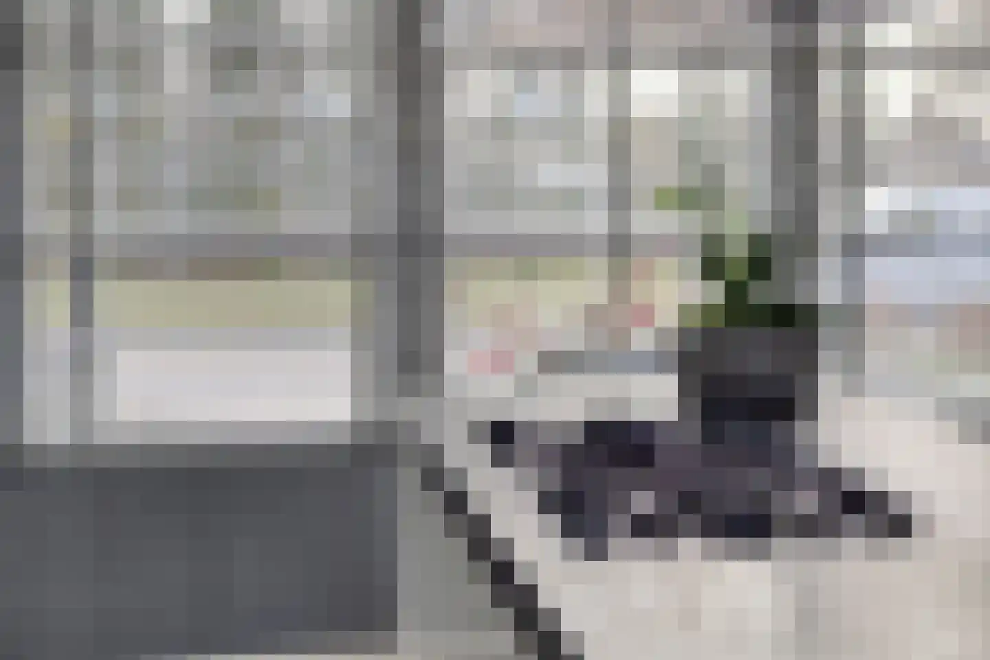 Jelle Plantingstraat 36 Drachten thumbnail 24