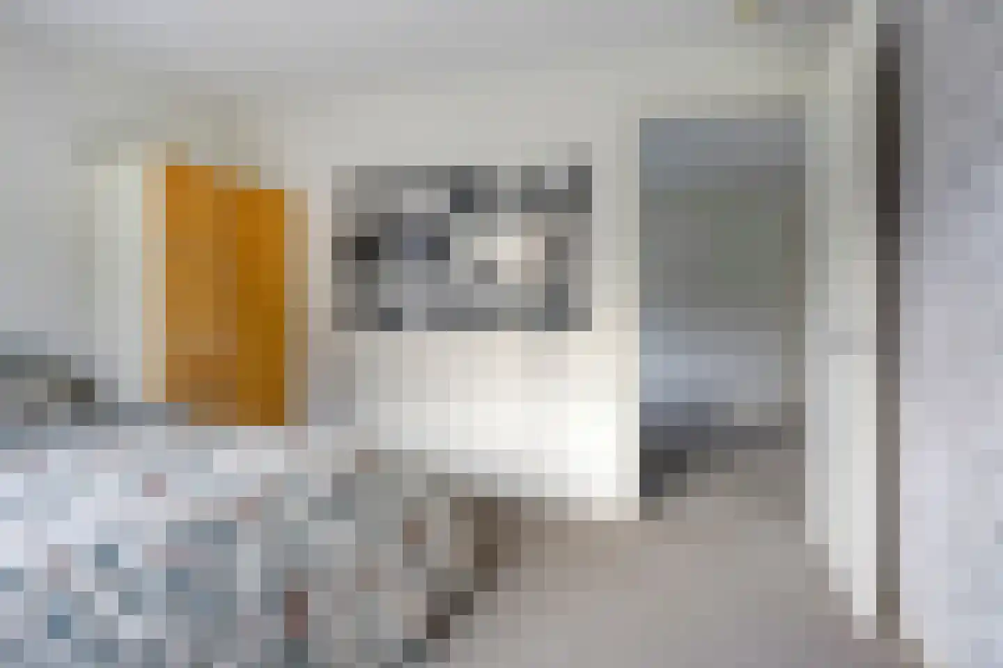 Jelle Plantingstraat 36 Drachten thumbnail 33