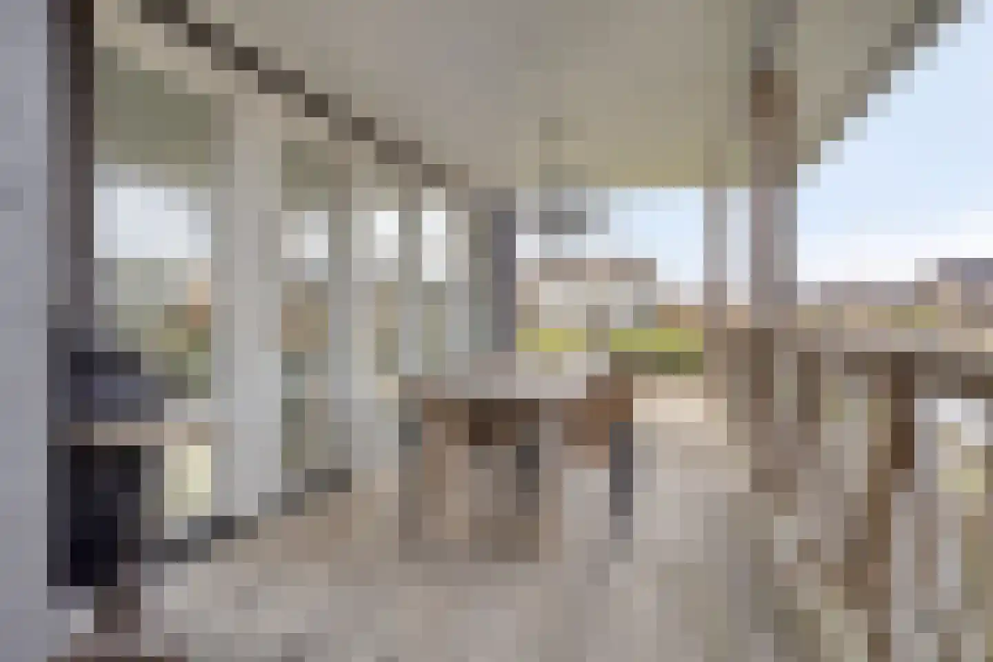 Jelle Plantingstraat 36 Drachten thumbnail 70