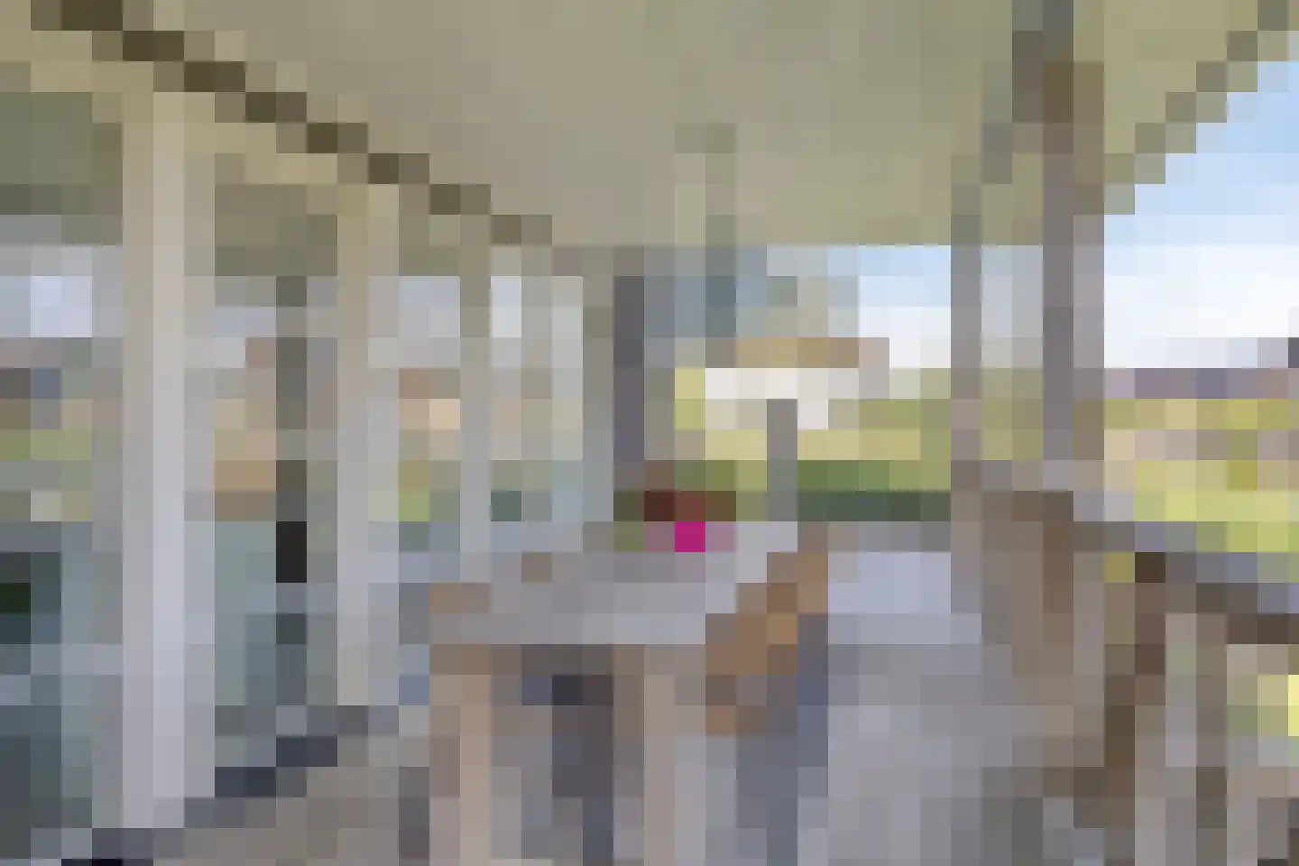 Jelle Plantingstraat 36 Drachten thumbnail 73