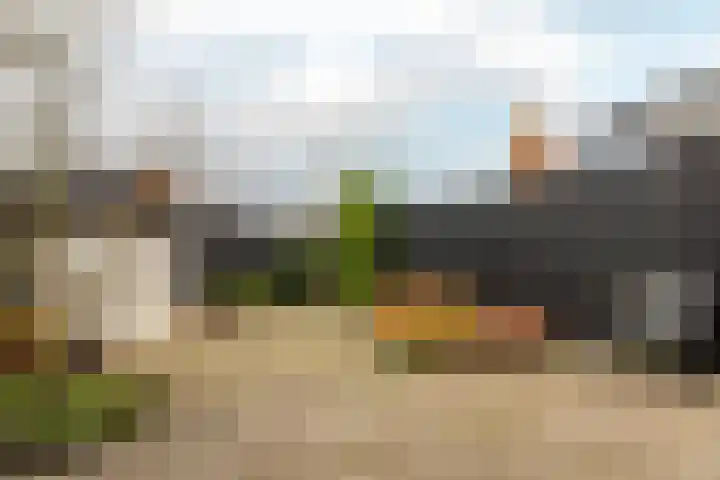 Jelle Plantingstraat 80 Drachten thumbnail 32