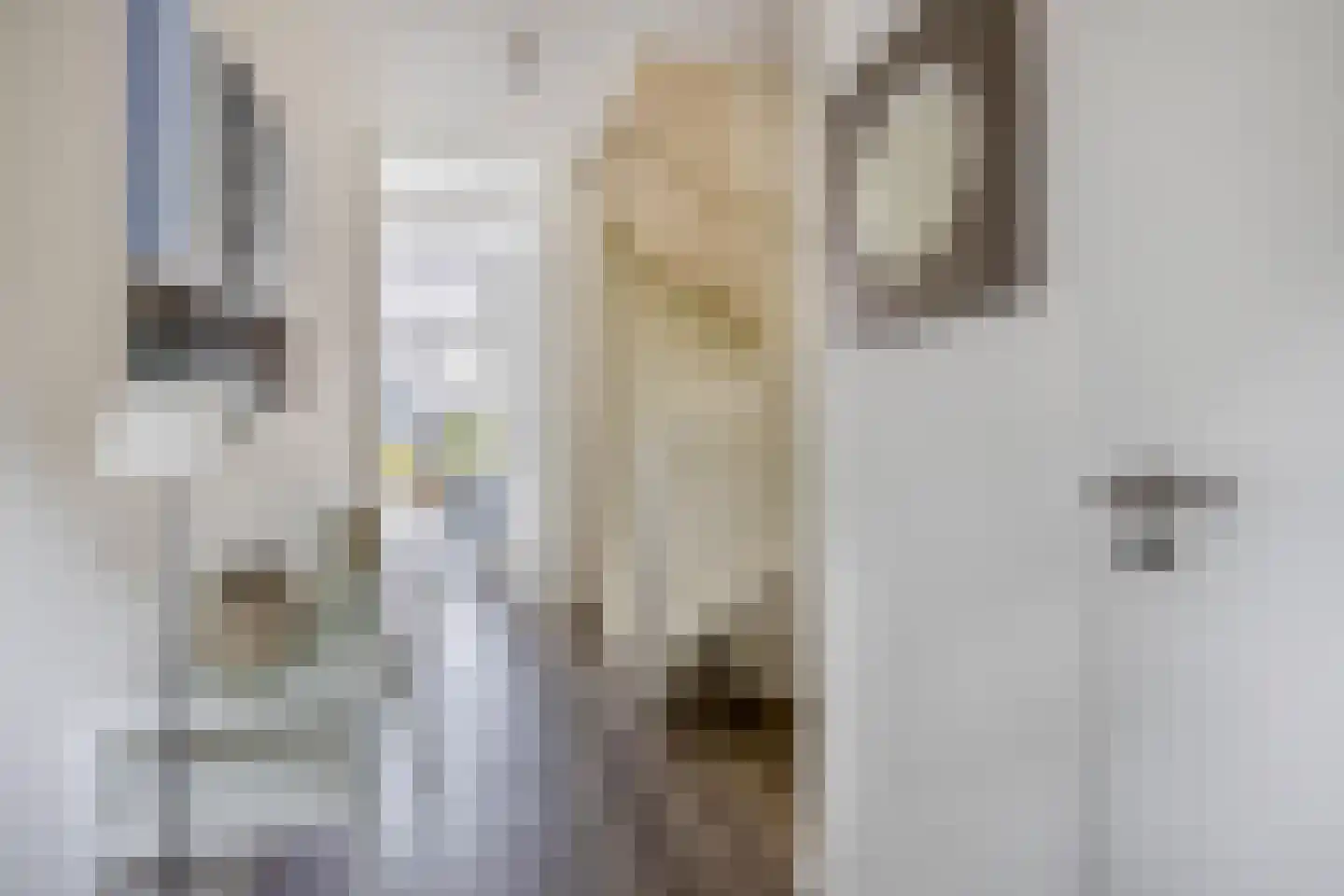 Jelle Plantingstraat 84 Drachten thumbnail 8