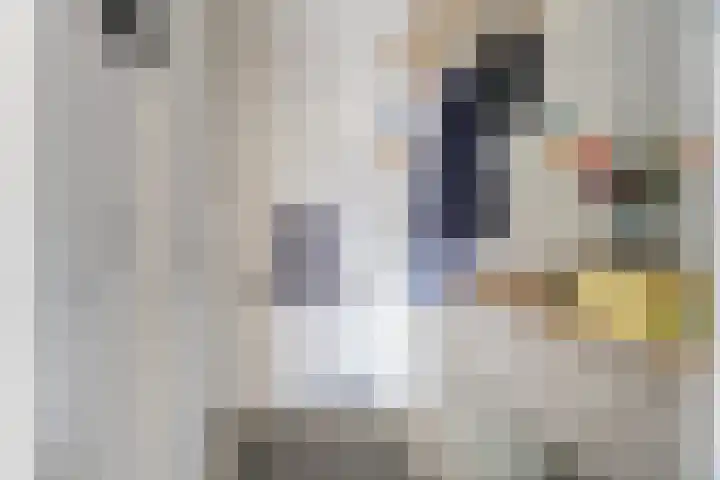 Jelle Posthumapad 4 Amsterdam thumbnail 22